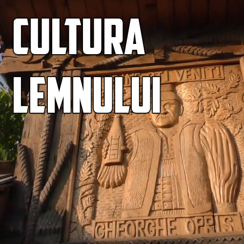 Cultura lemnului