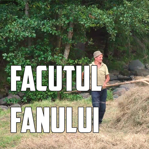Făcutul fânului