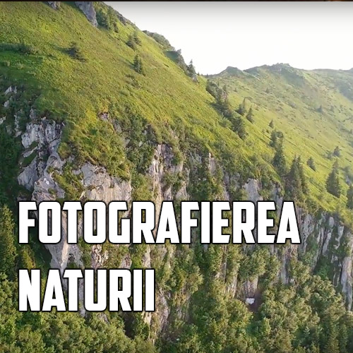 Fotografierea naturii