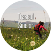 Traseul Șinelor