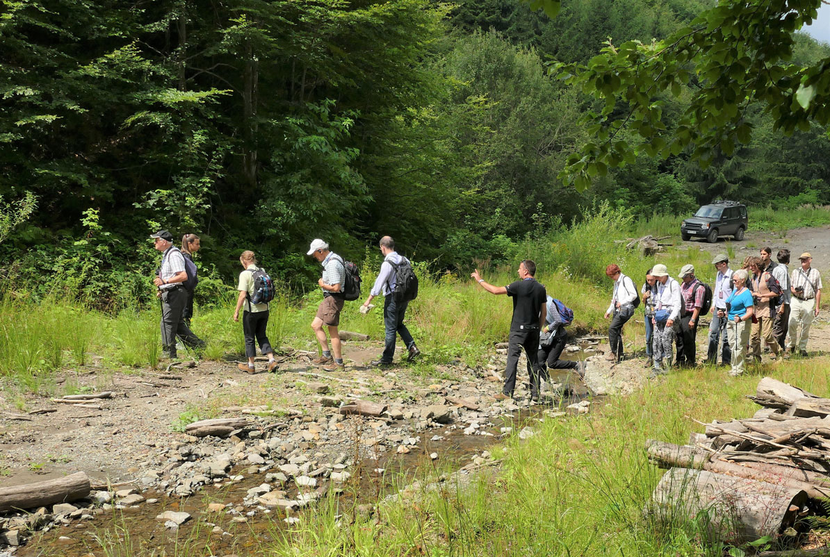 Virgin Forests and Wildlife Observation